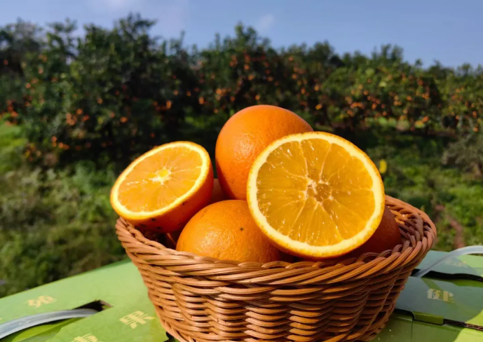 1775554826224983.png image.png